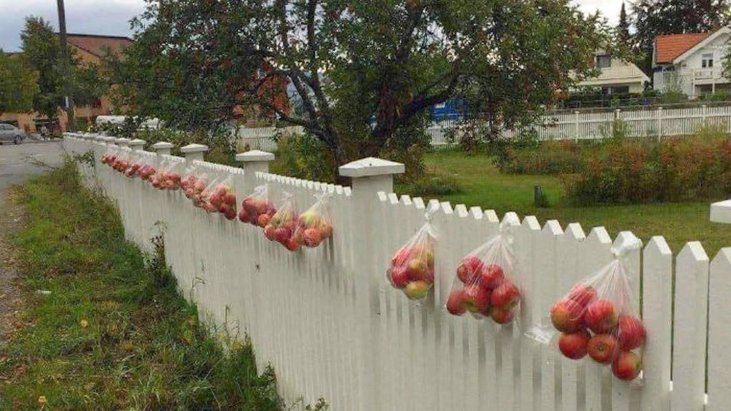 mele gratuite in Norvegia